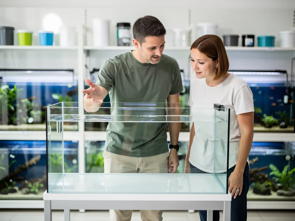 Aquarium bestellen: Online-Kauf oder Fachhandel? Aquarium bestellen Online-Kauf versus Fachhandel persönliche Beratung und Auswahl