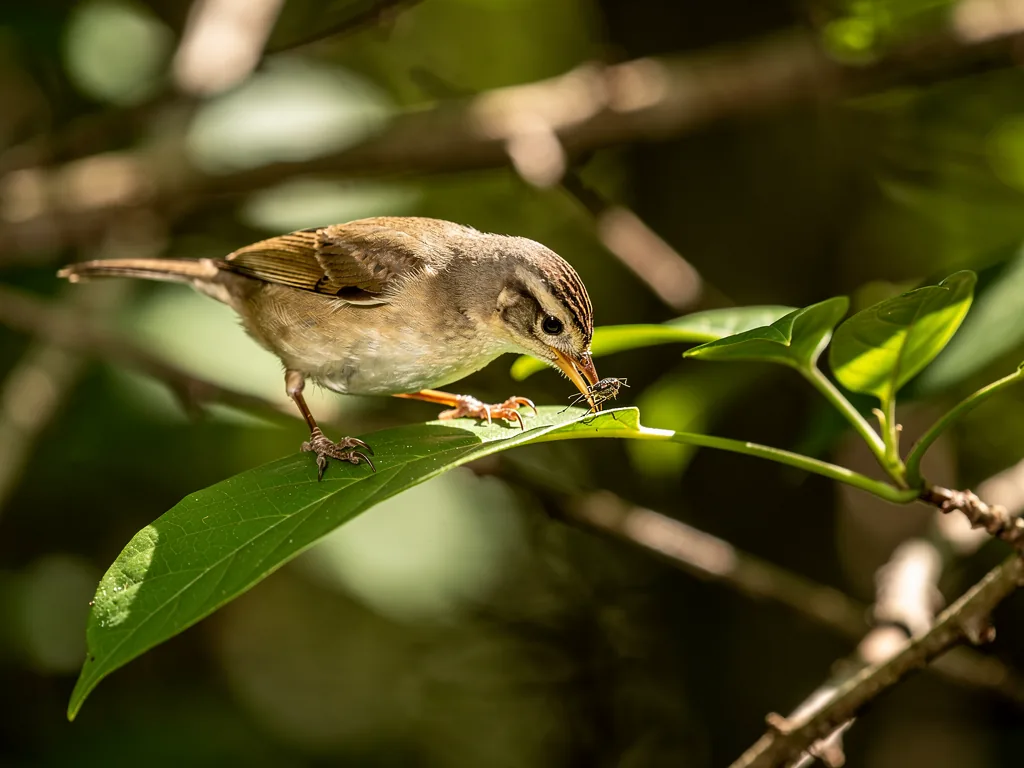 Nahrungsaufnahme Vogel beim Aufnehmen von Nahrung mit Schnabel in natürlicher Umgebung